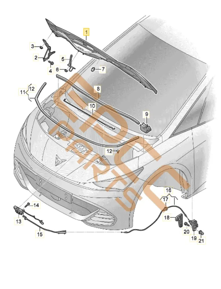 CUPRA BORN BONNET 10E823031C